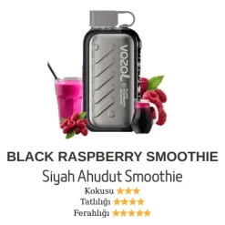 Vozol Gear 50000 - Black Raspberry Smoothie