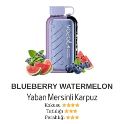Vozol Gear 50000 - Blueberry Watermelon