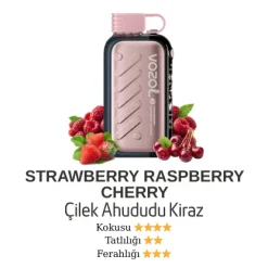 Vozol Gear 50000 - Strawberry Raspberry Chery