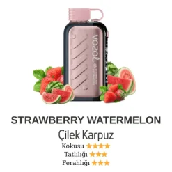 Vozol Gear 50000 - Strawberry Watermelon