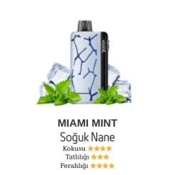 Vozol Neon 45000 - Miami Mint