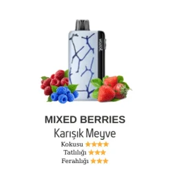 Vozol Neon 45000 - Mixed Berries