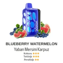 Vozol Rave 40000 - Blueberry Watermelon