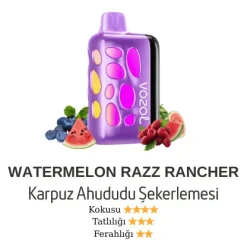Vozol Rave 40000 - Watermelon Razz Rancher