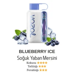 Vozol Star 40000 - Blueberry Ice