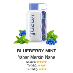 Vozol Star 40000 - Blueberry Mint