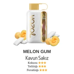 Vozol Star 40000 - Melon Gum