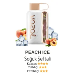 Vozol Star 40000 - Peach Ice