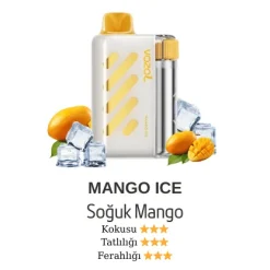 Vozol Vista 40000 - Mango Ice