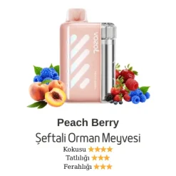 Vozol Vista 40000 - Peach Berry